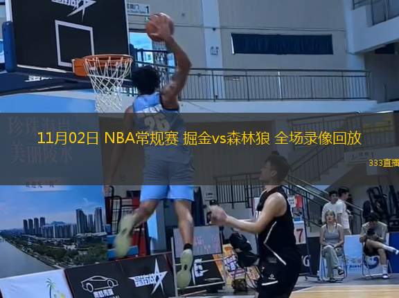 11月02日 NBA常規(guī)賽 掘金vs森林狼 全場(chǎng)錄像回放