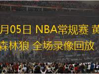 11月05日 NBA常規(guī)賽 黃蜂vs森林狼 全場錄像回放