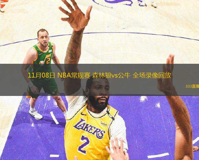 11月08日 NBA常規(guī)賽 森林狼vs公牛 全場錄像回放