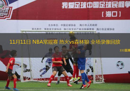 11月11日 NBA常規(guī)賽 熱火vs森林狼 全場錄像回放